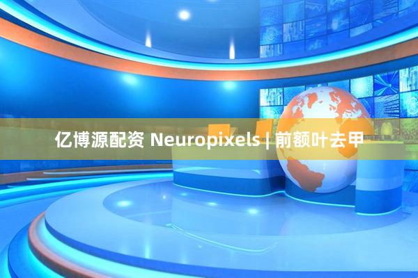 亿博源配资 Neuropixels | 前额叶去甲