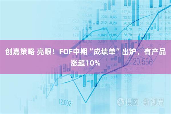 创嘉策略 亮眼！FOF中期“成绩单”出炉，有产品涨超10%
