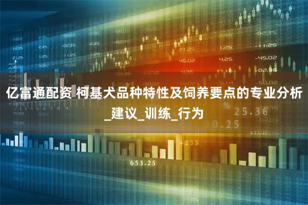 亿富通配资 柯基犬品种特性及饲养要点的专业分析_建议_训练_行为
