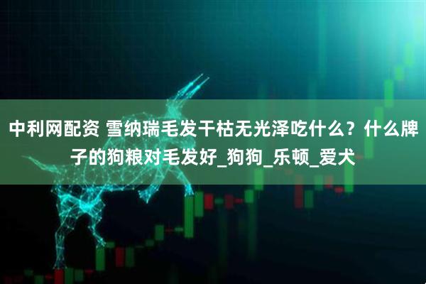 中利网配资 雪纳瑞毛发干枯无光泽吃什么？什么牌子的狗粮对毛发好_狗狗_乐顿_爱犬