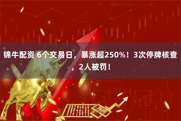 锦牛配资 6个交易日，暴涨超250%！3次停牌核查，2人被罚！