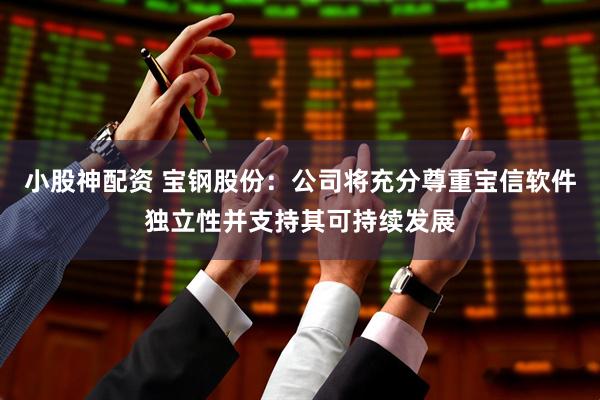 小股神配资 宝钢股份：公司将充分尊重宝信软件独立性并支持其可持续发展