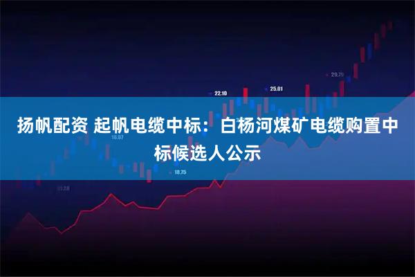 扬帆配资 起帆电缆中标：白杨河煤矿电缆购置中标候选人公示